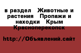  в раздел : Животные и растения » Пропажи и находки . Крым,Красноперекопск